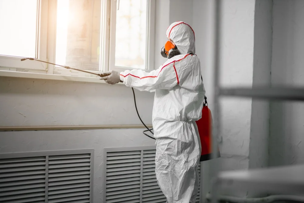 Professional mold remediation services in Moodus, CT